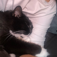 �Ϻ����һȦ