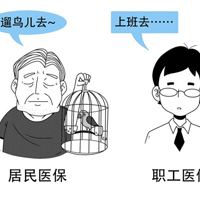 һ�������������˽�ҽ������Ҫ����