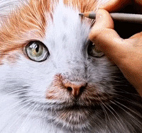 һƥ������16�꣬23����Ůѧ����緭��