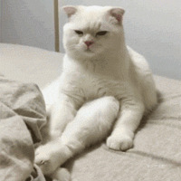������ֻ������ؽ���������Ȼ�����Ǵ���һ��