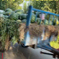 үү���޵�����֢���������ס�����Ұ����ͷ......��������