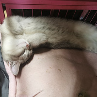 ���鲻�����ḡ