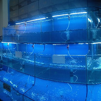 �²�����ʲô���������