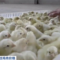 ԼȺϲձ3״νۣСҵִ۴