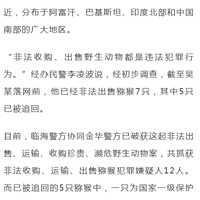 㽭ŮȦɹֻ𾯷ע⣡̫ɵۡ