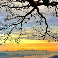 ������̨���ٹ⡿����2020