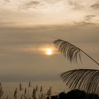 ������Ӱ ���� �ֻ�����