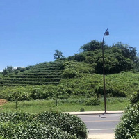 ������סլ�����125�����ܼ�390�� �����Ż�����