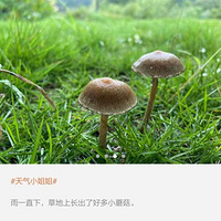 ʵʲôµóĢ10ˣɶʱ