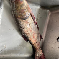 ù͵[] ɱ յ Ůֽ[][]