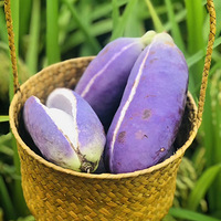 ���������ã���������С��㻹��������̨[����][����][����