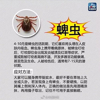 ����·��С�㣬������ҧ��������ԣ����ؿ�����