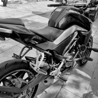 ���˺��������������ɥ��������95��Ů������10��Ÿ���Ȧ