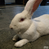 ҵĹԹԣһŽѾ˵ʵǰһ뿪