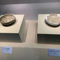 ������վ�����ڳ���800���������һֻ������С��ͷ���ˣ�