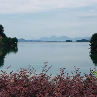 �������߱����磬���۾���¼����������÷羰�� ������ȥ����