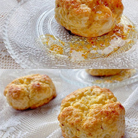 ���ڵ��Ϲ𻨲�Ҫ�˷ѣ����������������