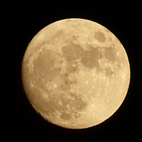 ���������ؼ�ƻ�ؼ������糿��p4prO�ֻ����㣩