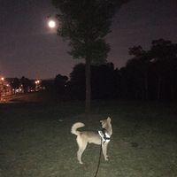 ��Ҳ������?6?8