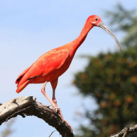 �㽭������硰�����ޡ������˸����ڱ�����