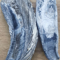 ���;޴������ڳ�������������ˣ��������ڻ������ص���20��