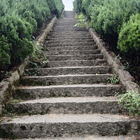 ����ɽż����