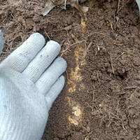 �ֿ쵽�����ˣ�Ҫ�ڵ���ϵ�ң������[����]