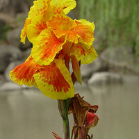 ��Ϣ�۵����˽�