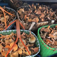 ������Ҫ�����꣡�����ϰ��˴��ϸ�������ɽԽ�룬Ŀ��ֻ��һ��