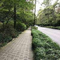 �糿������·��