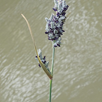 ���������ں�������Ϣ��