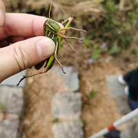 [�鿴ͼƬ][�鿴ͼƬ][�鿴ͼƬ][�鿴ͼƬ][�鿴ͼƬ]