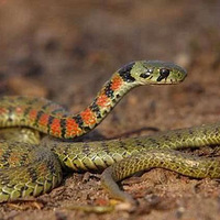 ���꣡�㽭һ�����ڣ��ж��߳�û�������ߺܲ�һ��