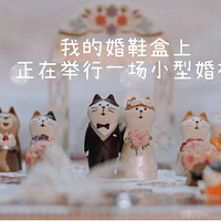 �ܵ��ö�С���õ����������ƻ���Ь��