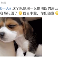 �ں��һ���ϰ࣬2������̫����