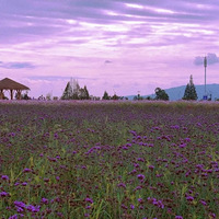 ����ĩ��ȥ������ͭ�������ﾰ��