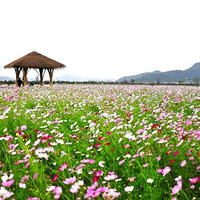 ��ɣ��һһ���ڸ���ת��