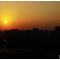 ���죨10/10�������ճ�������԰