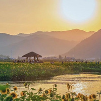 �ں��һ�������Ҫ�����������ֵ��ע�����...