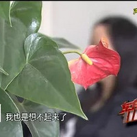 �Ϻ���һŮ�����ƺ������գ���������һ�꣡�����˵��ǡ�