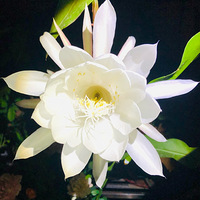 2020�����һ��꼻���