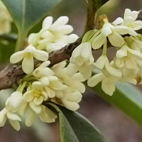 ��һһ���ں�������Ϣ��