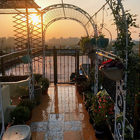 ���Ȱ������ģ����