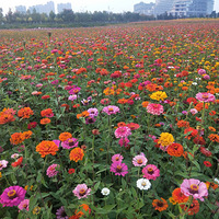 �����Ļ���