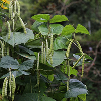 �㽭���˳������֡����ӡ�����־����9Сʱ������Σ����