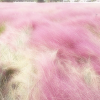 ˭�ǵ���ģ����[����]