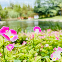 ������Ҳ������1��Сʱ�����Զ�Ϊ��[����][����]