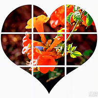 ����ʮ�� ��ůϦ�� | ����ʹ���߽�����Ժ��չ����־Ը����