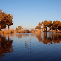 ������������5A�羰�����ﾰ����Զ���������������С�