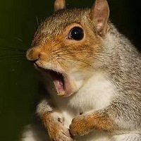 ##ѧ٣ʦ㣬ҳȴһҪ8£